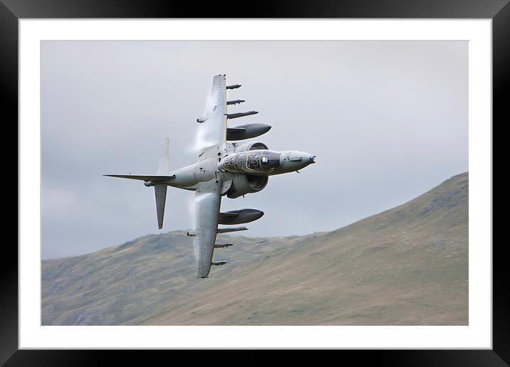  RAF Harrier Framed Mounted Print by Rory Trappe