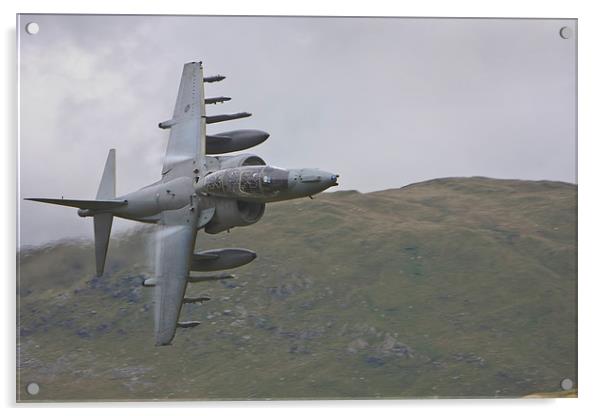  RAF Harrier Acrylic by Rory Trappe