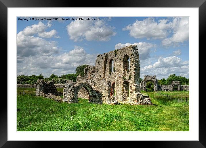  Greyfriars Priory Dunwich Framed Mounted Print by Diana Mower