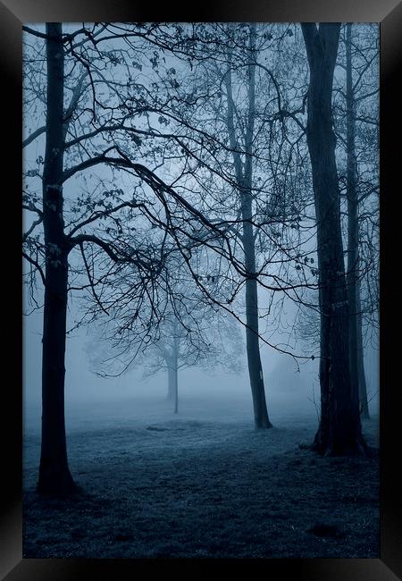  Blue Mist Framed Print by Svetlana Sewell