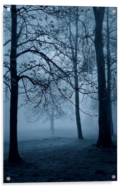  Blue Mist Acrylic by Svetlana Sewell