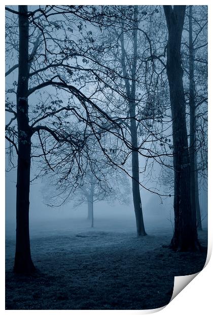  Blue Mist Print by Svetlana Sewell
