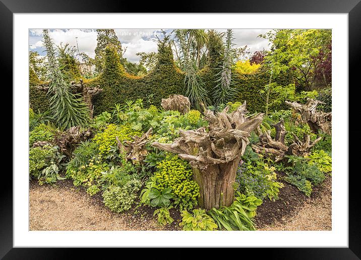  Garden at Arundel Castle, Sussex, UK Framed Mounted Print by Pauline Tims
