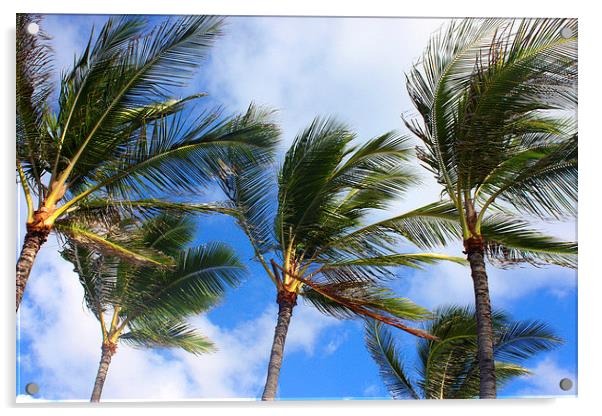  Cool Waving Palm Tree Paradise Acrylic by Terrance Lum