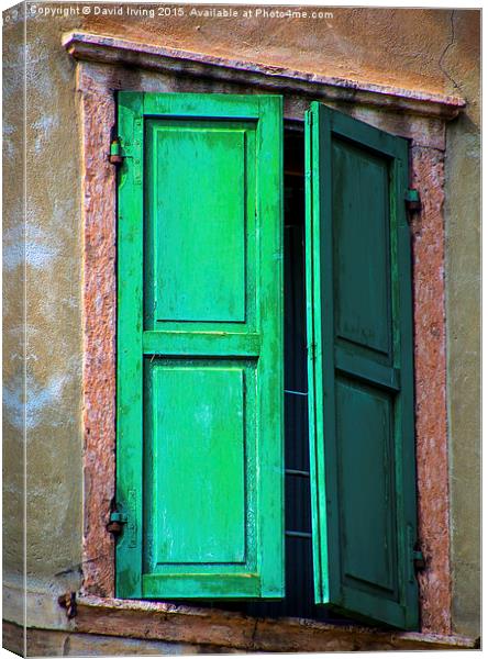 Green shutters  Canvas Print by David Irving