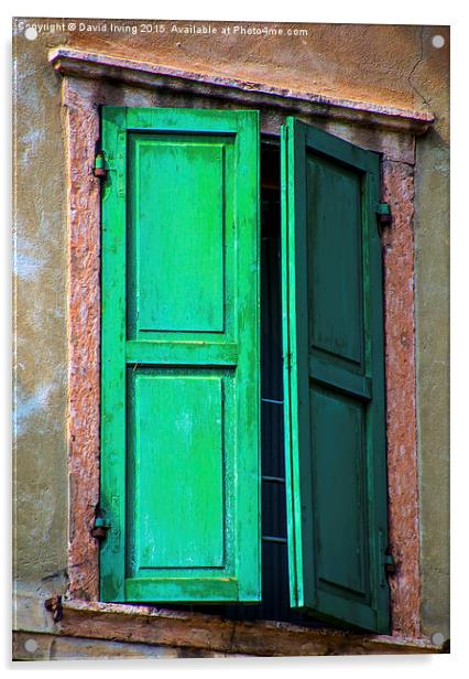 Green shutters  Acrylic by David Irving