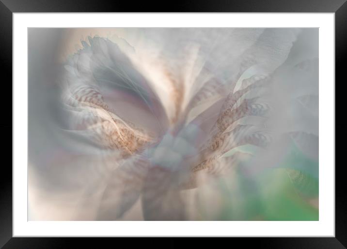  Ethereal Life 1. Interior Ideas  Framed Mounted Print by Jenny Rainbow
