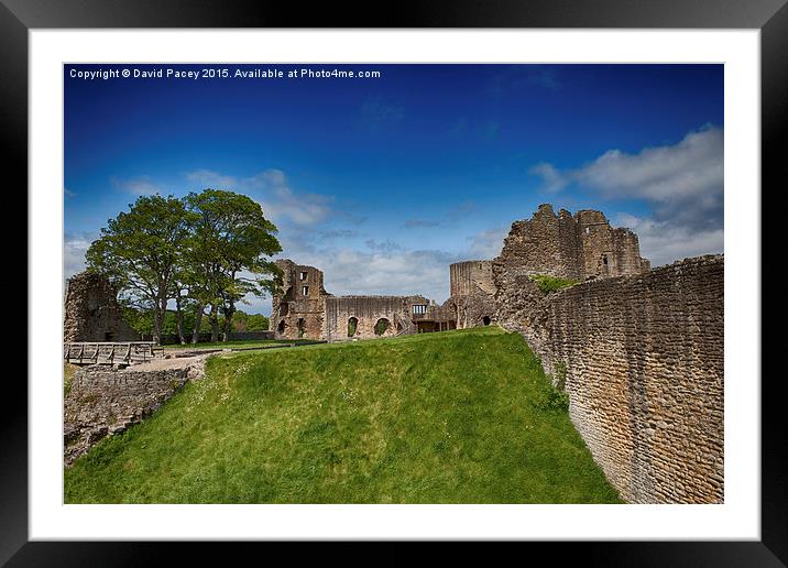  Barnard Castle Framed Mounted Print by David Pacey