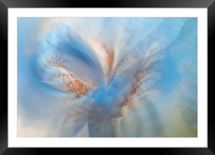  Ethereal Life 2. Interior Ideas  Framed Mounted Print by Jenny Rainbow