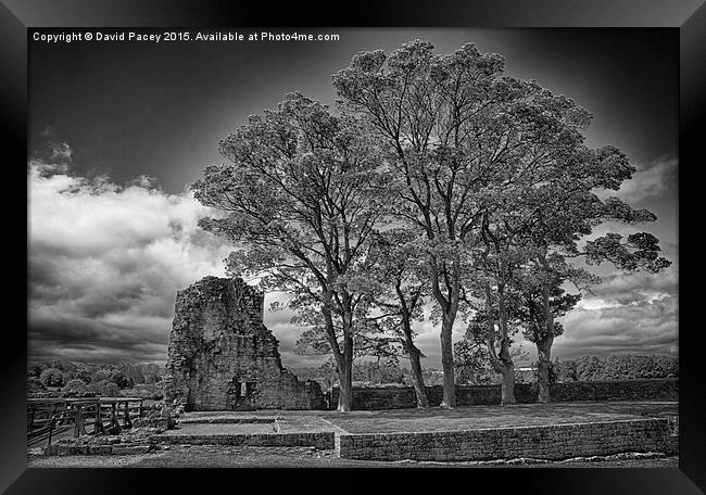  Barnard Castle Framed Print by David Pacey