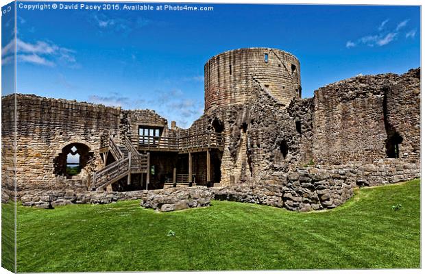  Barnard Castle Canvas Print by David Pacey