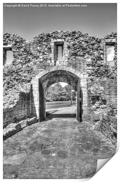  Barnard castle Print by David Pacey