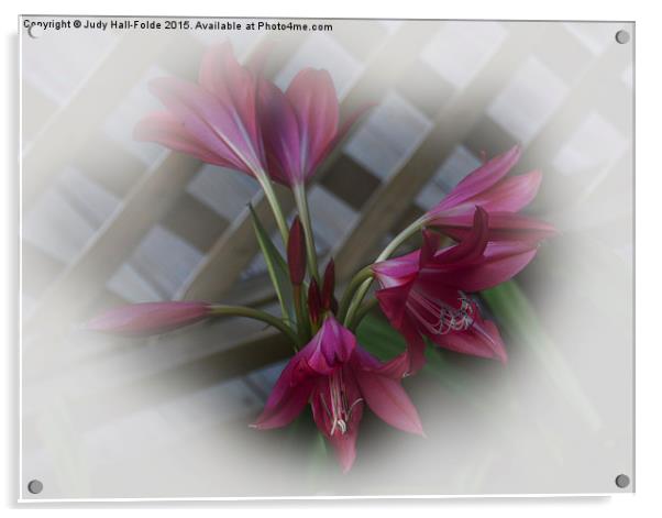  Hazy Lilies Acrylic by Judy Hall-Folde