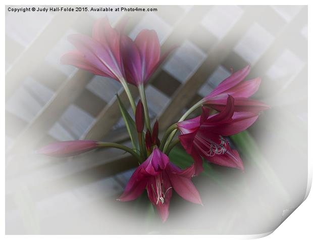  Hazy Lilies Print by Judy Hall-Folde