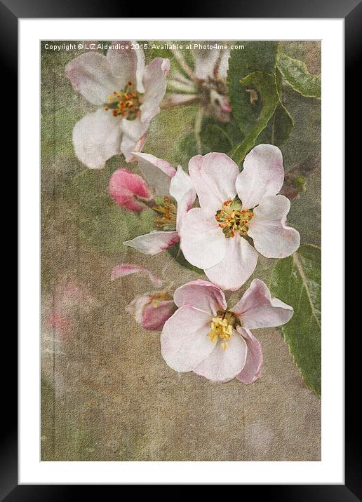 A Blossoming Symphony Framed Mounted Print by LIZ Alderdice