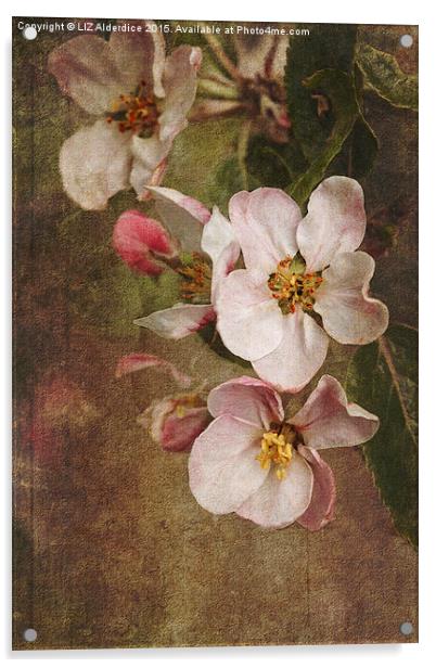 Blossoming Apple Orchard Acrylic by LIZ Alderdice