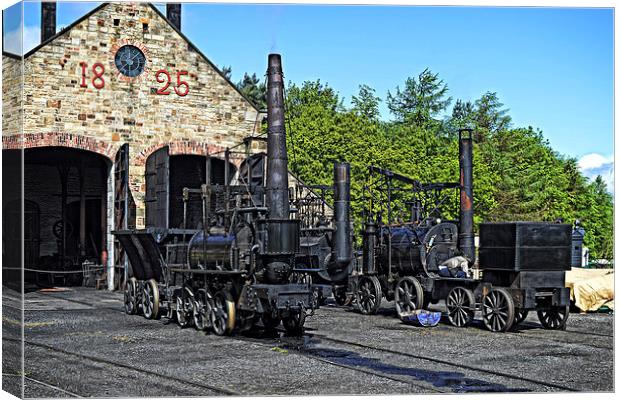 Steam Locomotives at Beamish Canvas Print by Tom Gomez