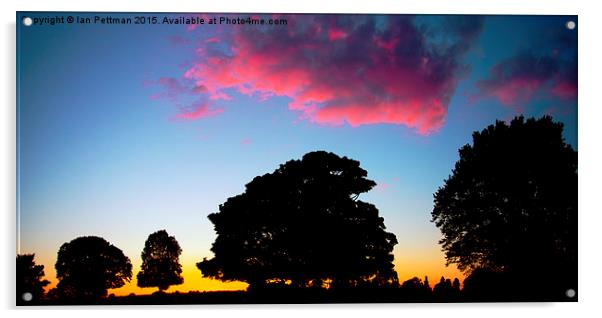 Beverley  Westwood Sunset & Sillouettes  Acrylic by Ian Pettman