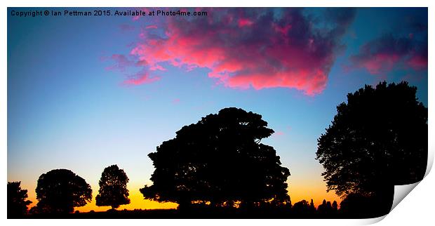 Beverley  Westwood Sunset & Sillouettes  Print by Ian Pettman