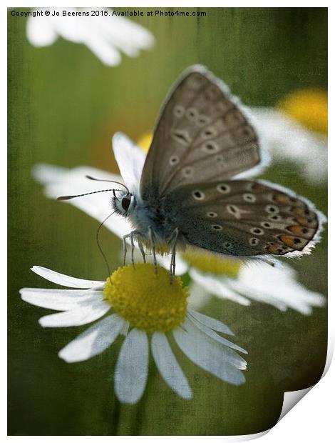 blue butterfly Print by Jo Beerens