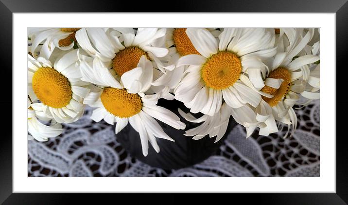  daisies in a clay pot Framed Mounted Print by Marinela Feier
