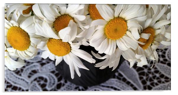  daisies in a clay pot Acrylic by Marinela Feier