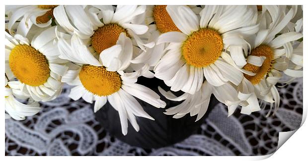  daisies in a clay pot Print by Marinela Feier
