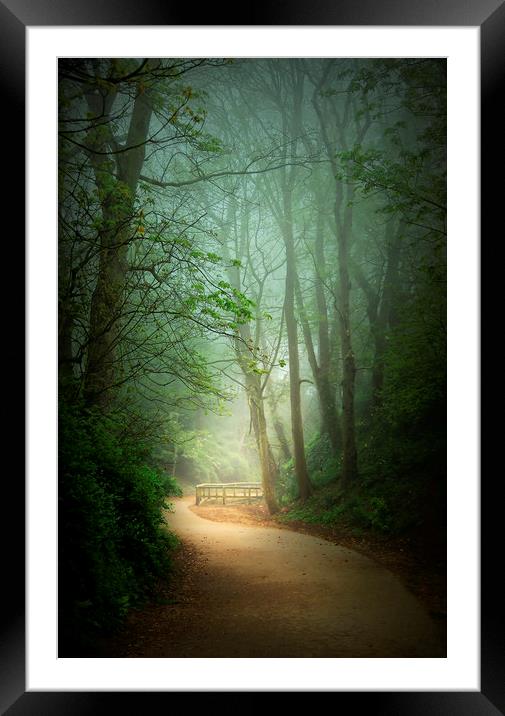  Mysterious Path  Framed Mounted Print by Svetlana Sewell