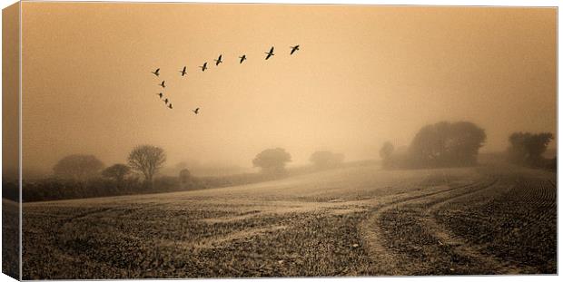  The clearing fog Canvas Print by John Baker