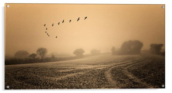  The clearing fog Acrylic by John Baker