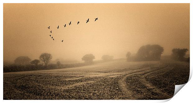  The clearing fog Print by John Baker