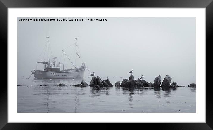  Misty Morning Framed Mounted Print by Mark Woodward