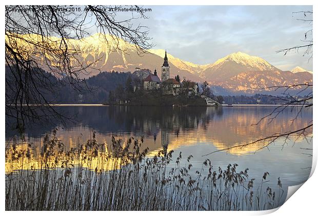 Church of the Assumption of Mary on Bled Island La Print by John Keates