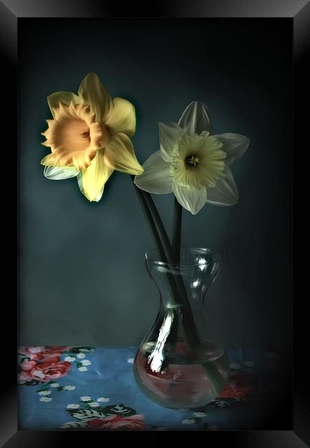 Daffs and Vase Framed Print by Simon Gladwin