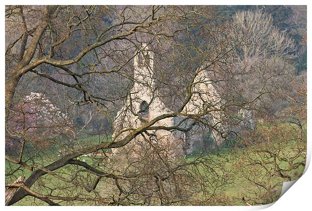  Ancient chapel Norfolk hillside Print by robin oakley