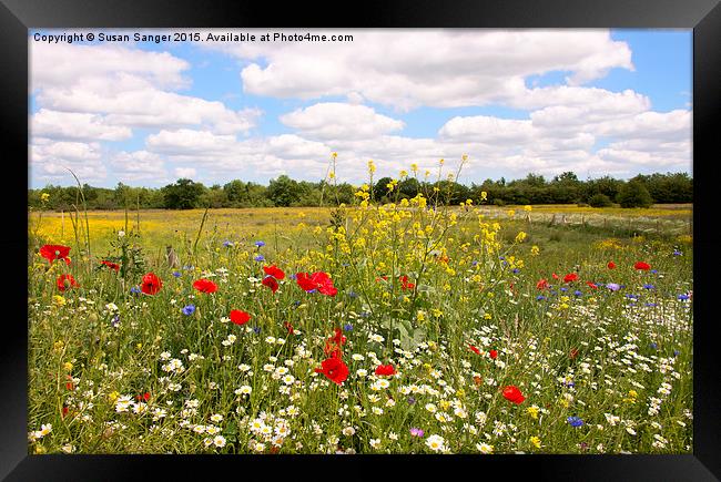 Kent countryside meadow Framed Print by Susan Sanger