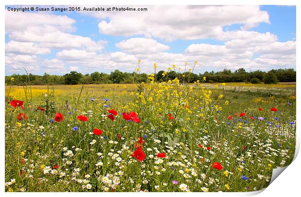 Kent countryside meadow Print by Susan Sanger