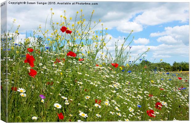  colourful wildflower meadow Canvas Print by Susan Sanger