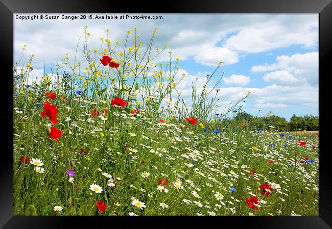  colourful wildflower meadow Framed Print by Susan Sanger