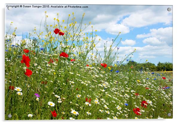  colourful wildflower meadow Acrylic by Susan Sanger