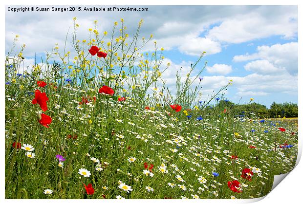  colourful wildflower meadow Print by Susan Sanger