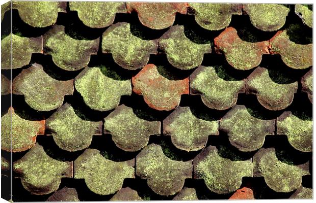  Tiles, Shadows and Lichen  Canvas Print by Tim Bell
