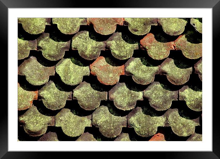  Tiles, Shadows and Lichen  Framed Mounted Print by Tim Bell
