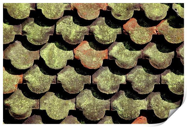  Tiles, Shadows and Lichen  Print by Tim Bell