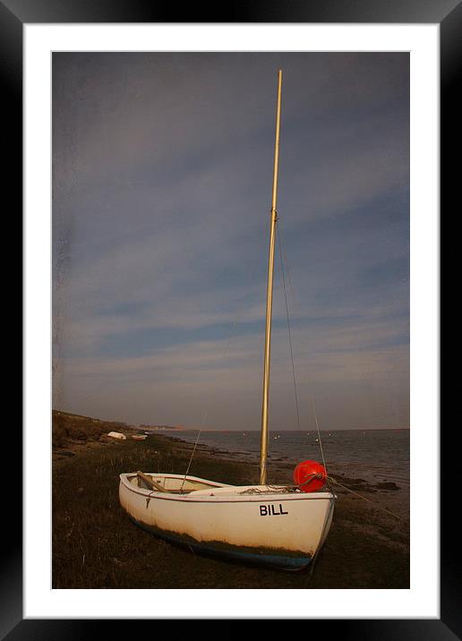  Bill Framed Mounted Print by Paul Holman Photography