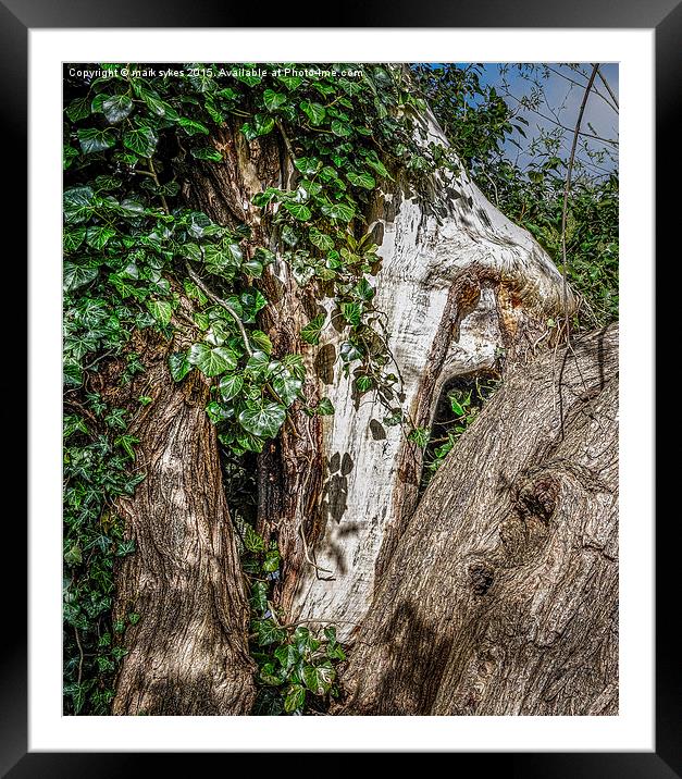  Creeping Ivy Framed Mounted Print by mark sykes