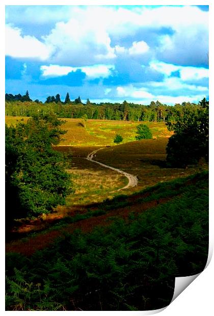  lonely path  Print by carin severn