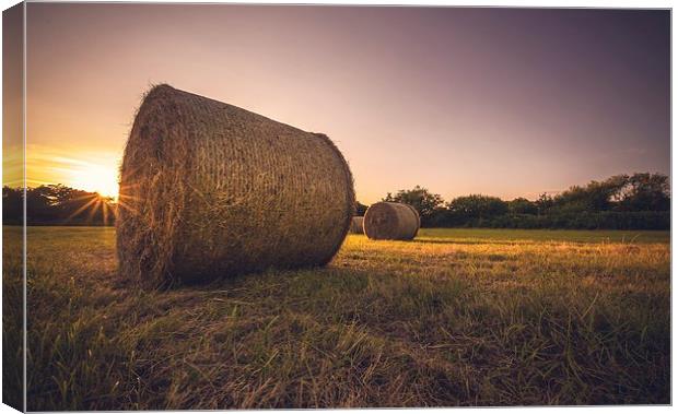  Bales of hay Canvas Print by Dean Merry