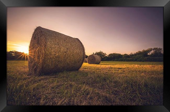  Bales of hay Framed Print by Dean Merry