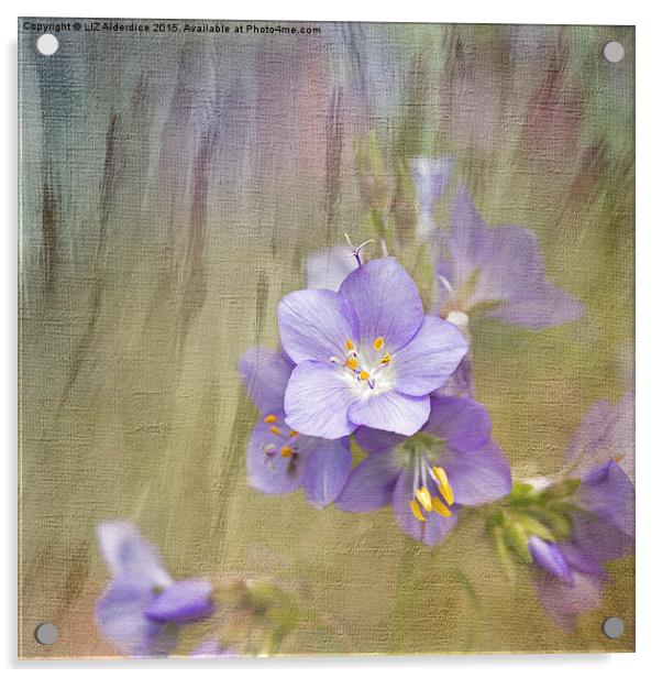  Pretty Purple Acrylic by LIZ Alderdice